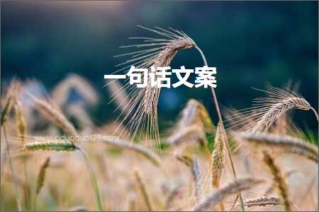 句子文案:一句话文案